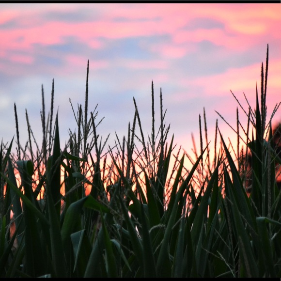 Meet your Posher, Rebekah - Picture 1 of 1